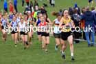 Senior Women, 2024 CAU Inter Counties Cross Country Champs., Wollaton Park, Nottingham. Photo: David T. Hewitson/Sports for All Pics